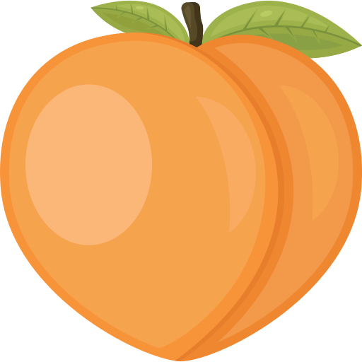 ikona